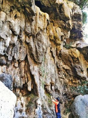 Premi aqui per a veure la imatge a grand�ria completa