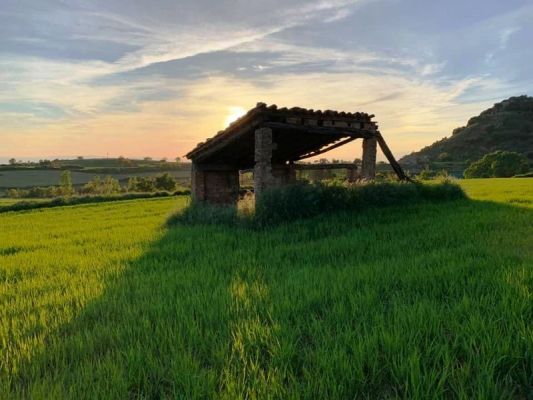 Premi aqui per a veure la imatge a grand�ria completa