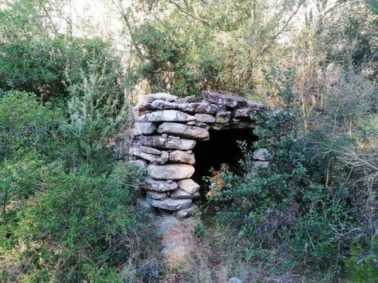 Premi aqui per a veure la imatge a grand�ria completa