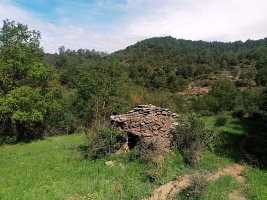 Premi aqui per a veure la imatge a grand�ria completa