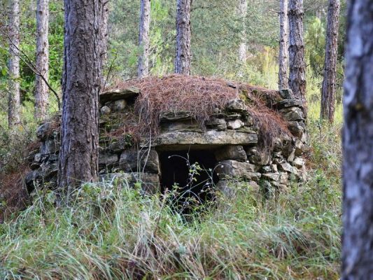 Premi aqui per a veure la imatge a grand�ria completa