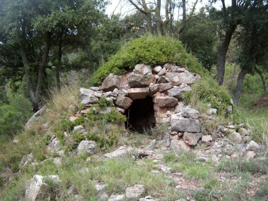 Premi aqui per a veure la imatge a grand�ria completa