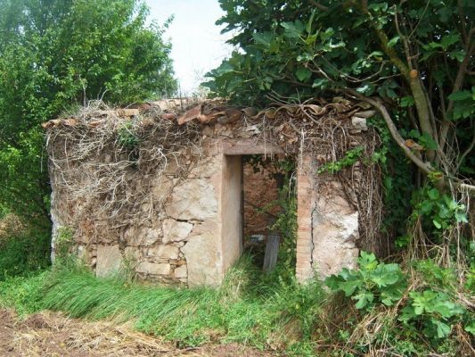 Premi aqui per a veure la imatge a grand�ria completa