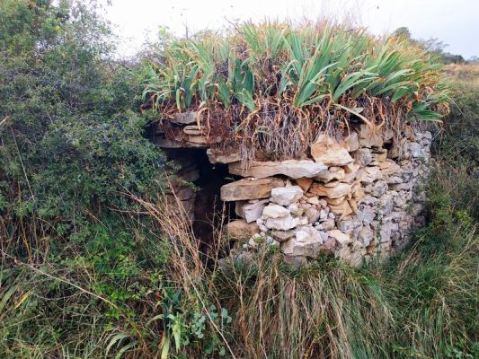 Premi aqui per a veure la imatge a grand�ria completa