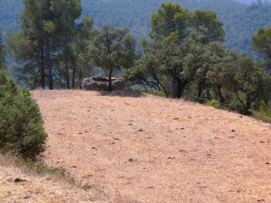 Premi aqui per a veure la imatge a grand�ria completa