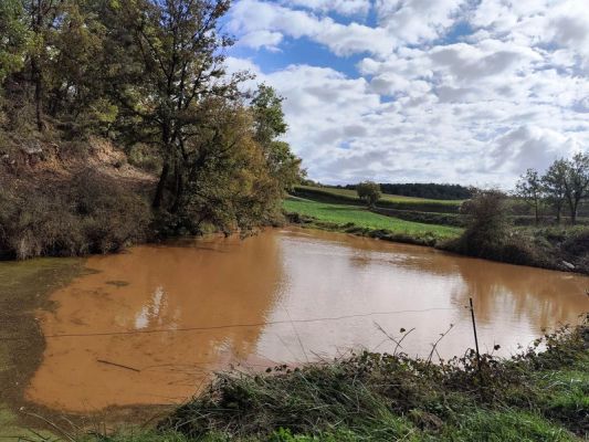 Premi aqui per a veure la imatge a grand�ria completa