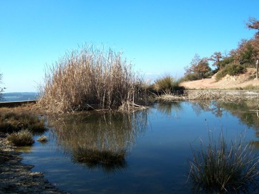 Premi aqui per a veure la imatge a grand�ria completa