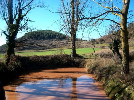 Premi aqui per a veure la imatge a grand�ria completa