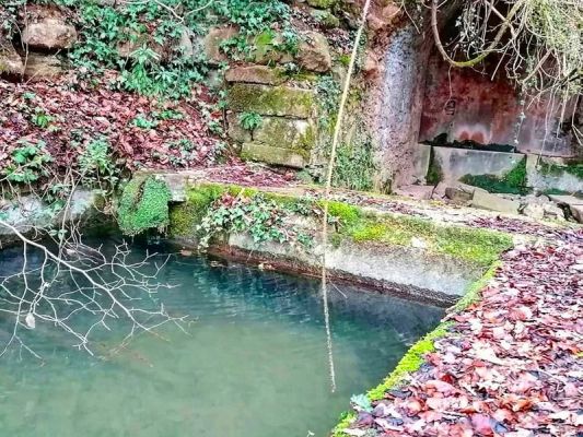 Premi aqui per a veure la imatge a grand�ria completa