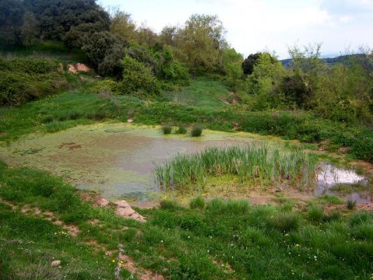 Premi aqui per a veure la imatge a grand�ria completa