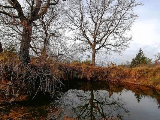 Premi aqui per a veure la imatge a grand�ria completa