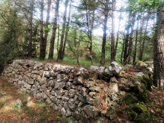 Premi aqui per a veure la imatge a grand�ria completa