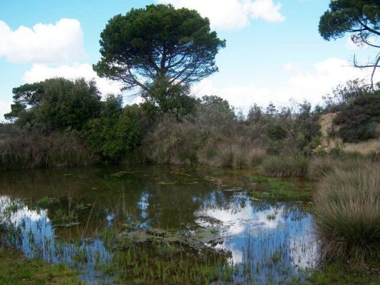 Premi aqui per a veure la imatge a grand�ria completa