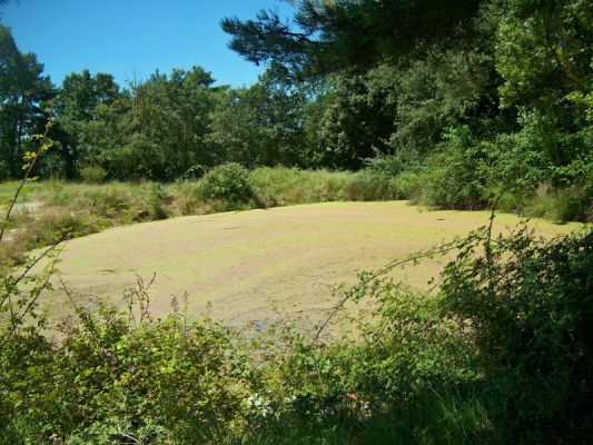 Premi aqui per a veure la imatge a grand�ria completa