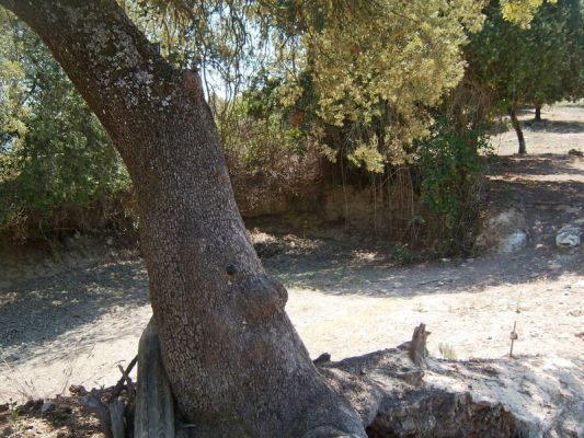 Premi aqui per a veure la imatge a grand�ria completa