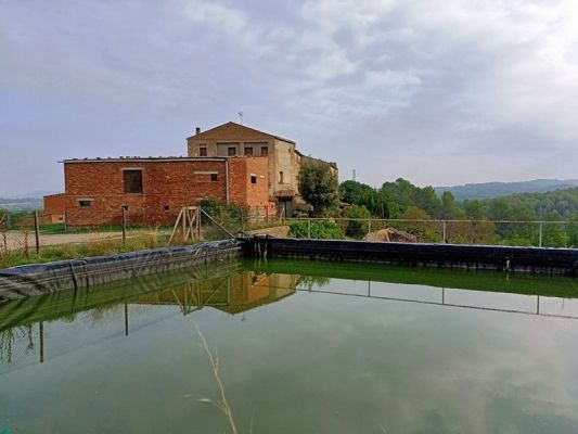 Premi aqui per a veure la imatge a grand�ria completa