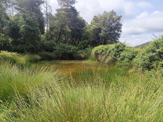 Premi aqui per a veure la imatge a grand�ria completa