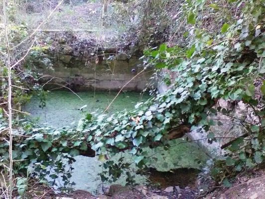 Premi aqui per a veure la imatge a grand�ria completa