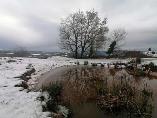 Premi aqui per a veure la imatge a grand�ria completa