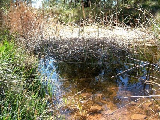 Premi aqui per a veure la imatge a grand�ria completa