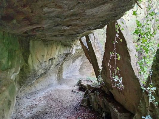 Premi aqui per a veure la imatge a grand�ria completa