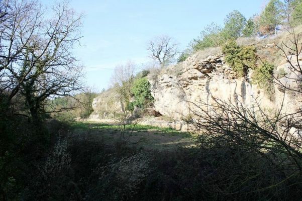 Premi aqui per a veure la imatge a grand�ria completa