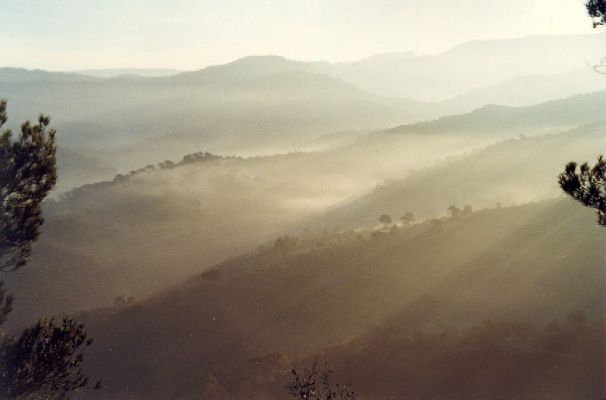 Premi aqui per a veure la imatge a grand�ria completa