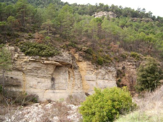 Premi aqui per a veure la imatge a grand�ria completa