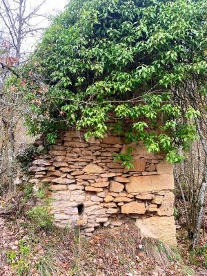 Premi aqui per a veure la imatge a grand�ria completa