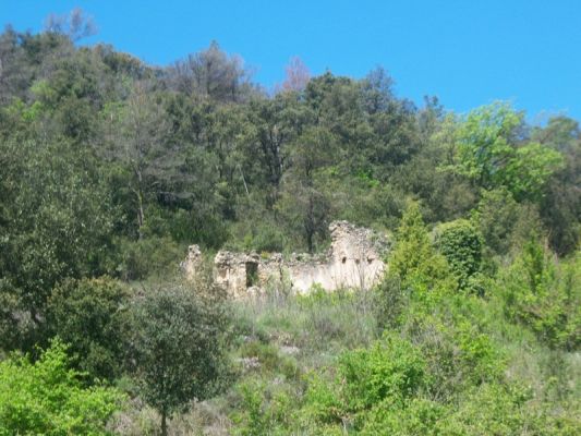 Premi aqui per a veure la imatge a grand�ria completa