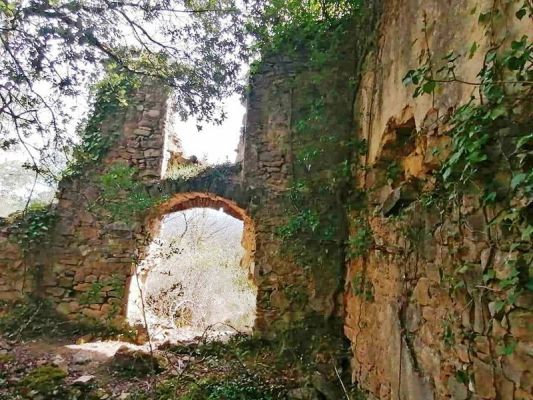 Premi aqui per a veure la imatge a grand�ria completa