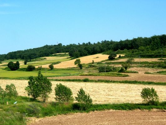 Premi aqui per a veure la imatge a grand�ria completa