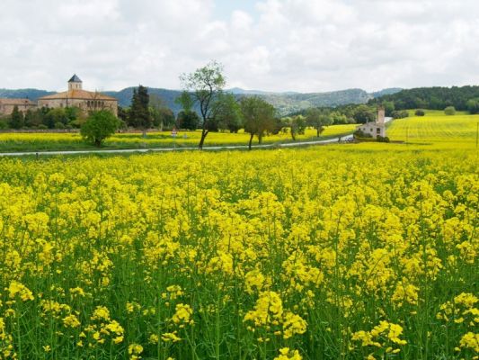 Premi aqui per a veure la imatge a grand�ria completa