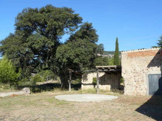 Premi aqui per a veure la imatge a grand�ria completa