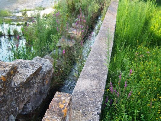 Premi aqui per a veure la imatge a grand�ria completa