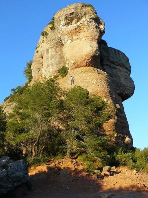 Premi aqui per a veure la imatge a grand�ria completa