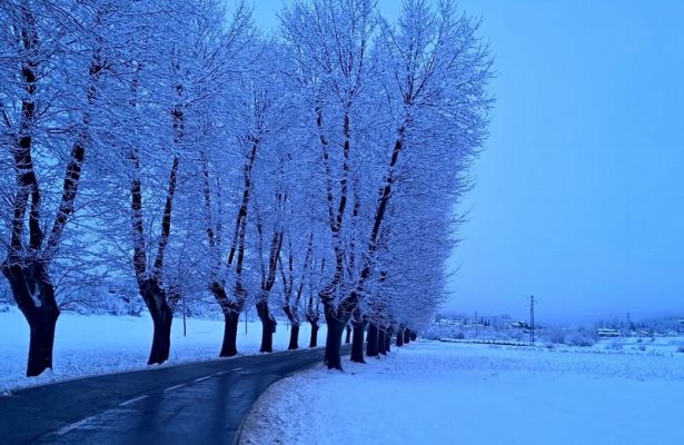 Premi aqui per a veure la imatge a grand�ria completa