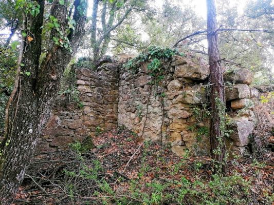 Premi aqui per a veure la imatge a grand�ria completa