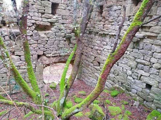 Premi aqui per a veure la imatge a grand�ria completa