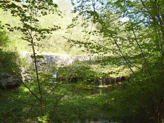 Premi aqui per a veure la imatge a grand�ria completa