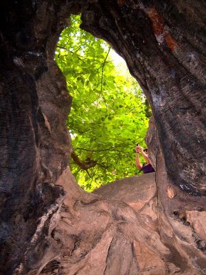 Premi aqui per a veure la imatge a grand�ria completa