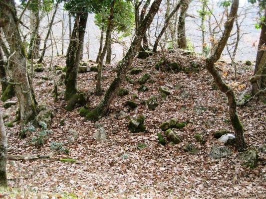 Premi aqui per a veure la imatge a grand�ria completa