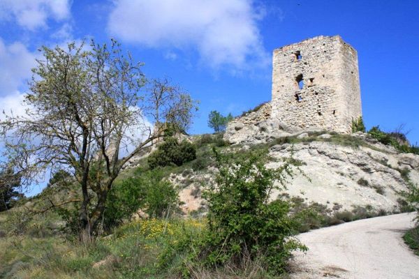 Premi aqui per a veure la imatge a grand�ria completa