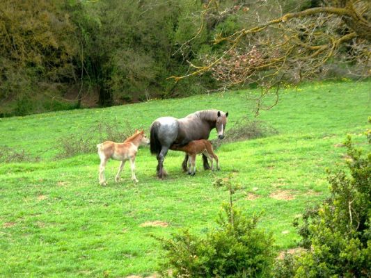 Premi aqui per a veure la imatge a grand�ria completa