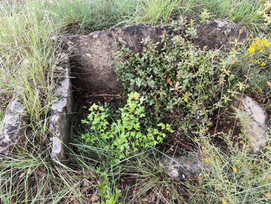 Premi aqui per a veure la imatge a grand�ria completa