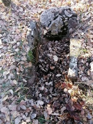 Premi aqui per a veure la imatge a grand�ria completa