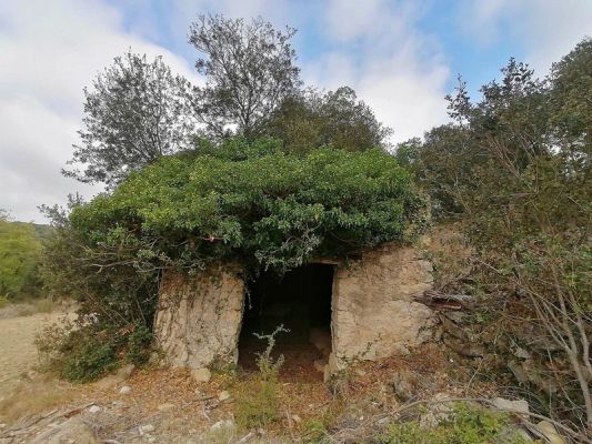 Premi aqui per a veure la imatge a grand�ria completa