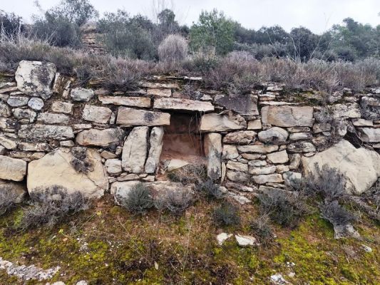 Premi aqui per a veure la imatge a grand�ria completa