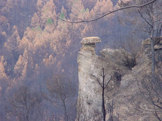 Premi aqui per a veure la imatge a grand�ria completa