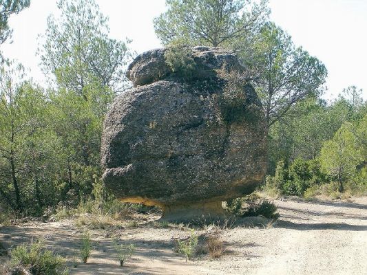 Premi aqui per a veure la imatge a grand�ria completa